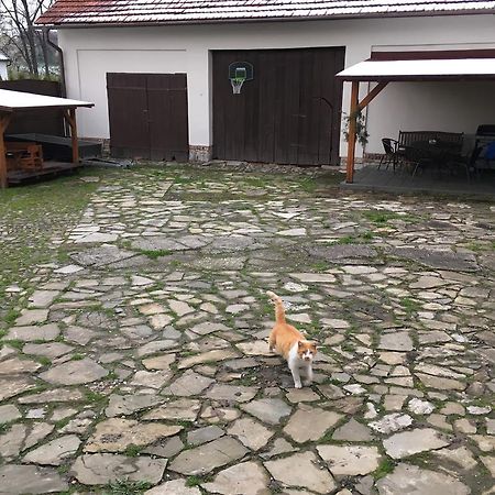 Ubytovani V Soukromi U Volneho Příbor Εξωτερικό φωτογραφία